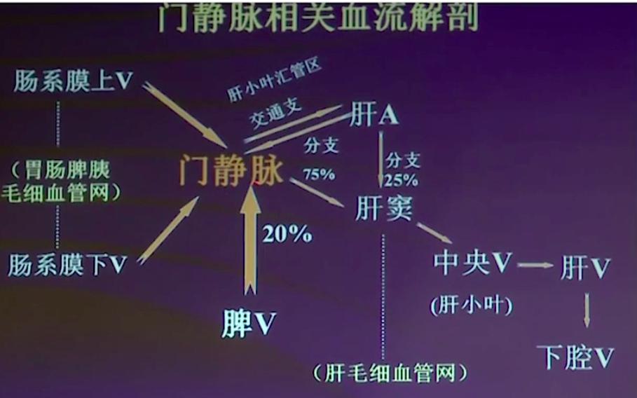 看到腹水就诊断肝硬化张文宏口中智商很低的做法你碰到过吗