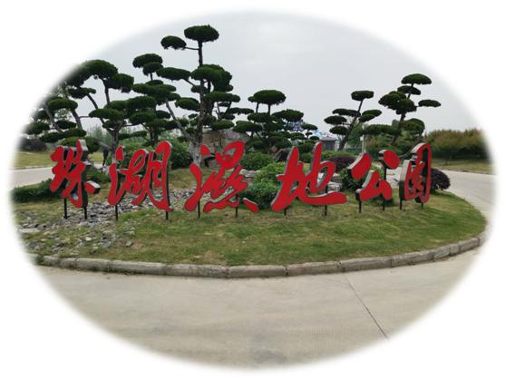 水调歌头74高邮珠湖湿地公园外五首