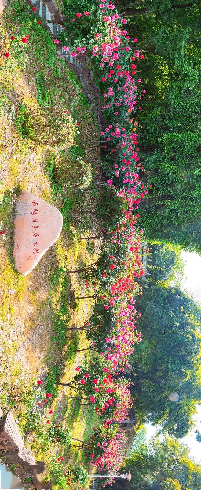 桂子山月来越好季往开来