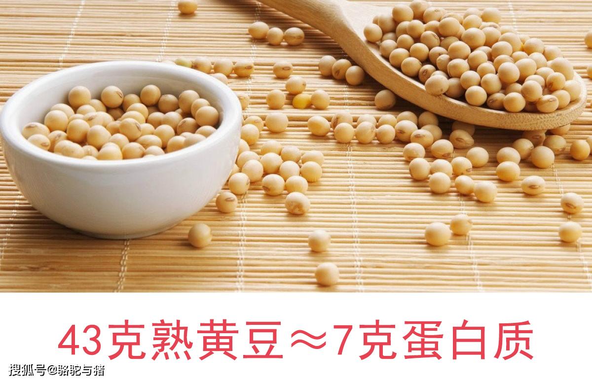 夜间减肥法,美国营养师推荐:不挨饿/无运动/1星期减9磅_蛋白质