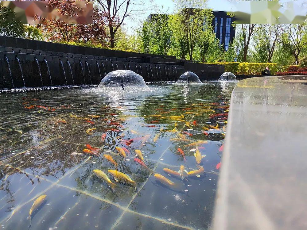 小水景大智慧园区这一打卡景观还不赶紧去感受一下