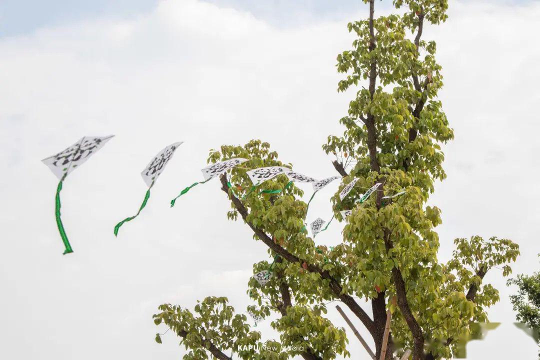 是风不对还是筝不行我的风筝怎么就飞不起来