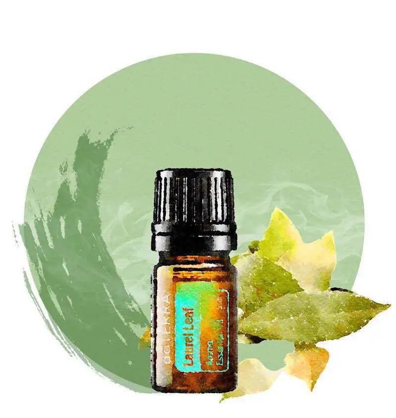 时尚打卡月多特瑞带你闻香识精油