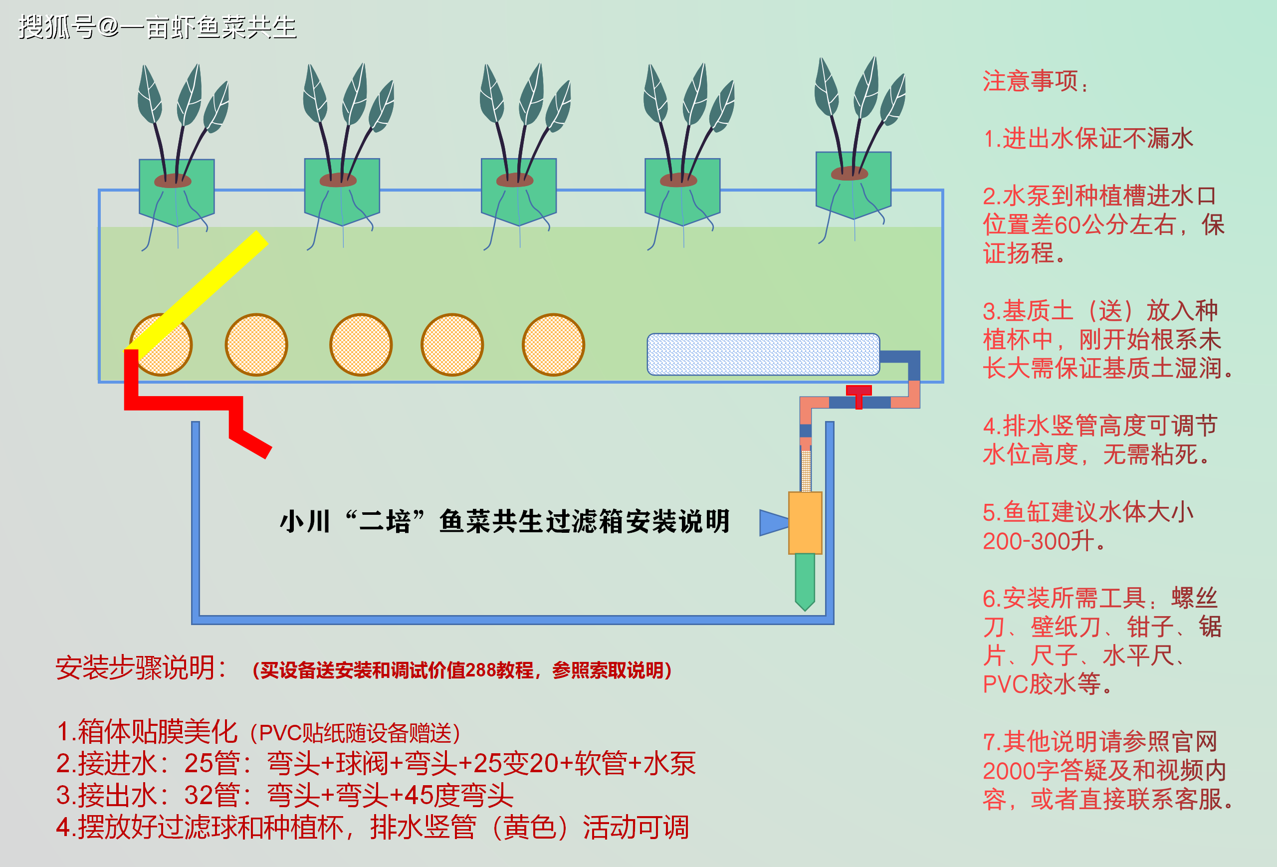 冰菜即将代替芹菜成为新网红,系统稳定能种菜能养虾