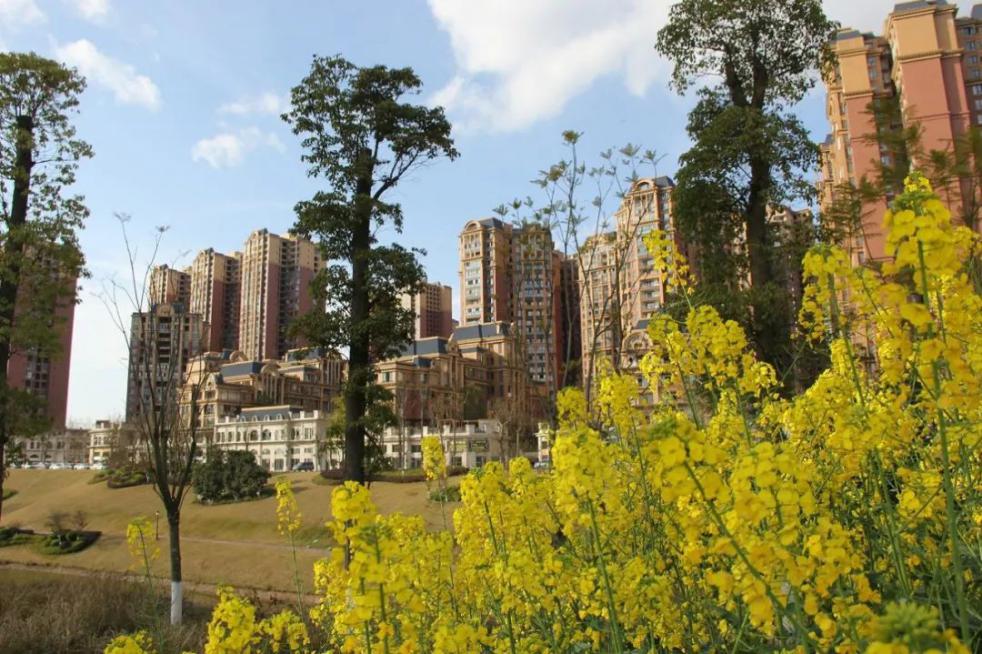 缔造城市核心成就理想未来