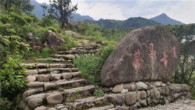 铅山武夷山镇仙山岭茶马古道