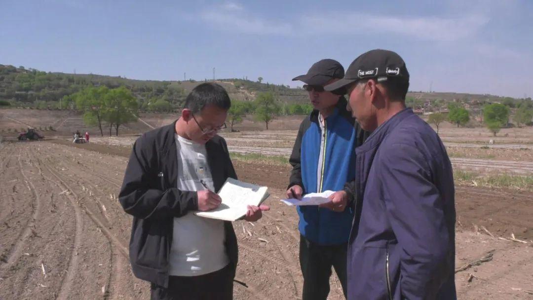 凤岭乡冯碑村"主题党日"延伸到田间地头