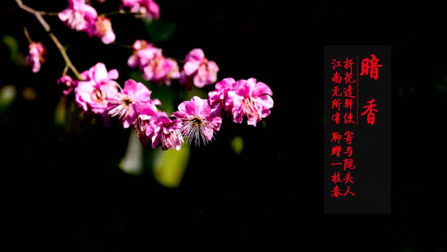 扬州市向神奈川厚木市捐赠口罩和防护服随赠古诗聊赠一枝春