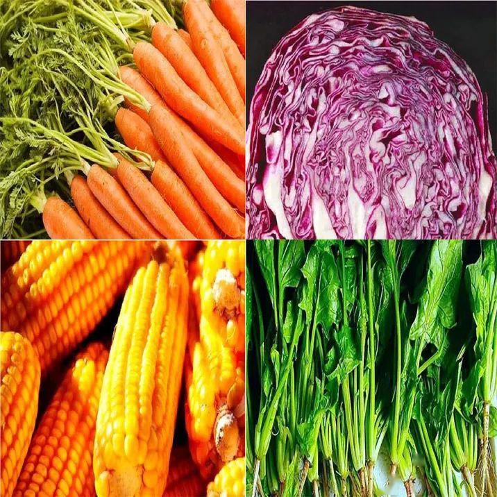 多吃左边这些蔬菜可以明目哦!