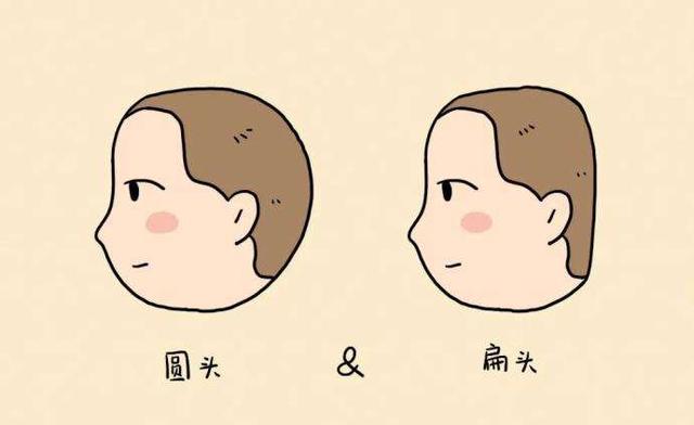 扁头有福气科学证明扁头不仅影响脸型还影响智商