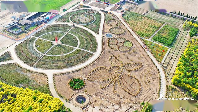 视觉临汾:襄汾沁馨园里景色秀_种植