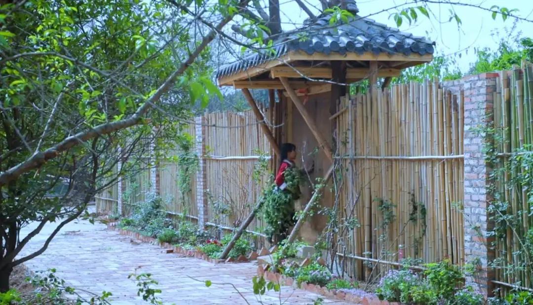 李子柒这样的网红请来一打