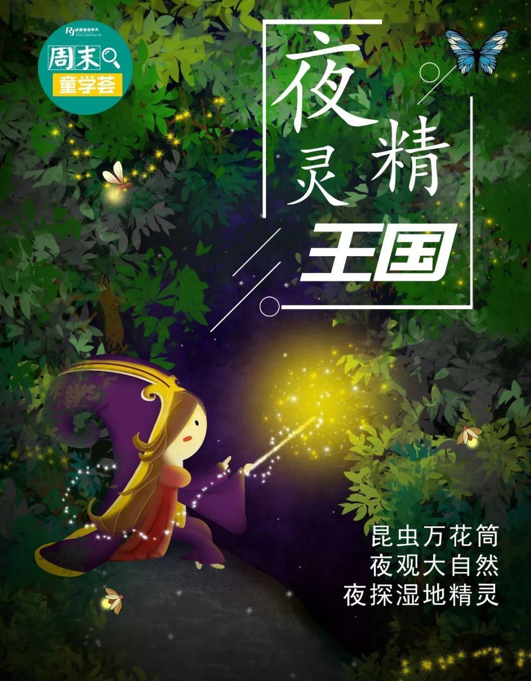 【夜觀課程】週末夜晚,與你探索夜精靈王國,期待你的到來!