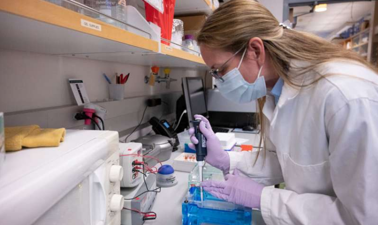 世界地贫日造血干细胞以小救大发挥积极作用