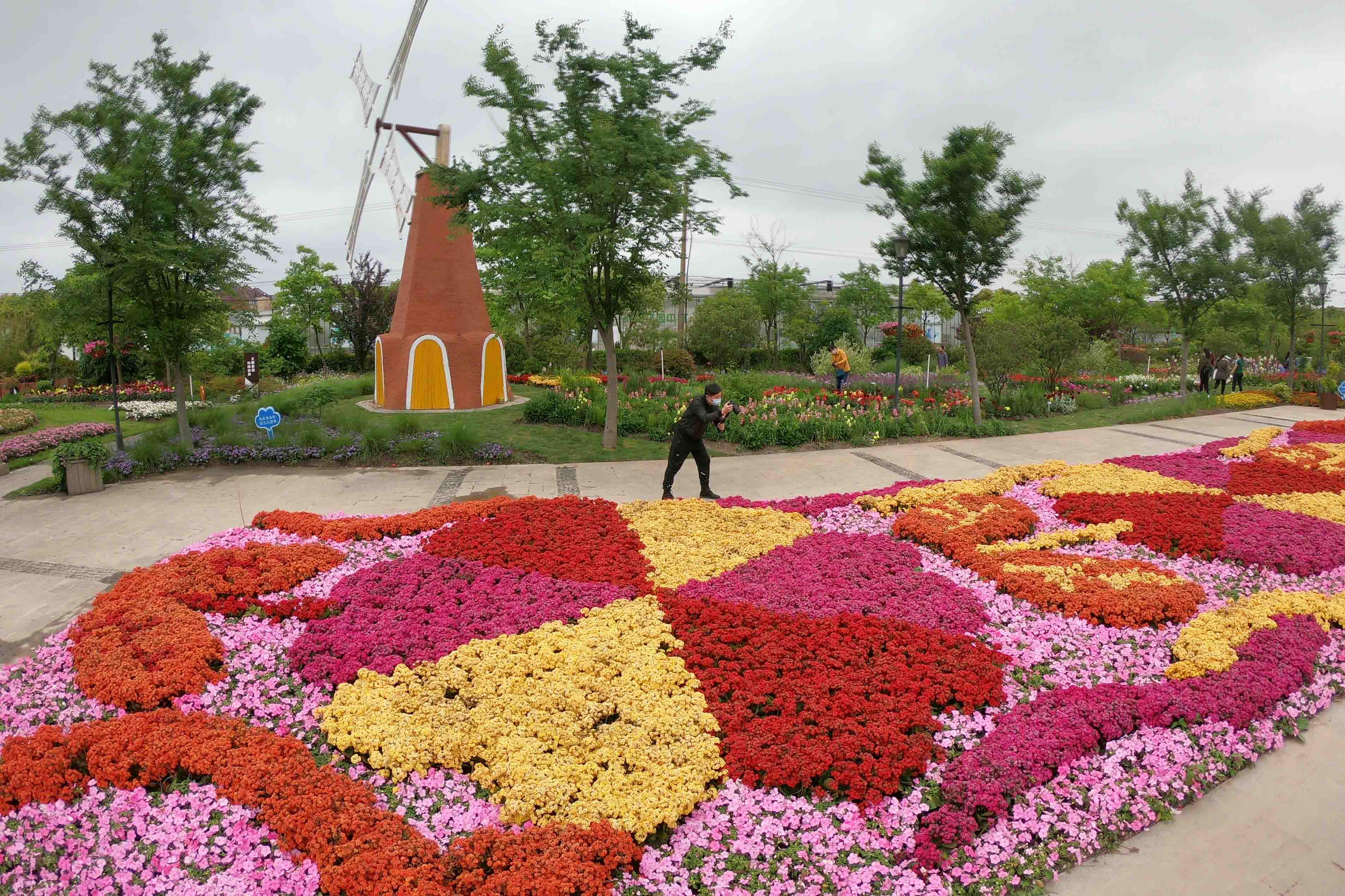 月浦花卉基地图片