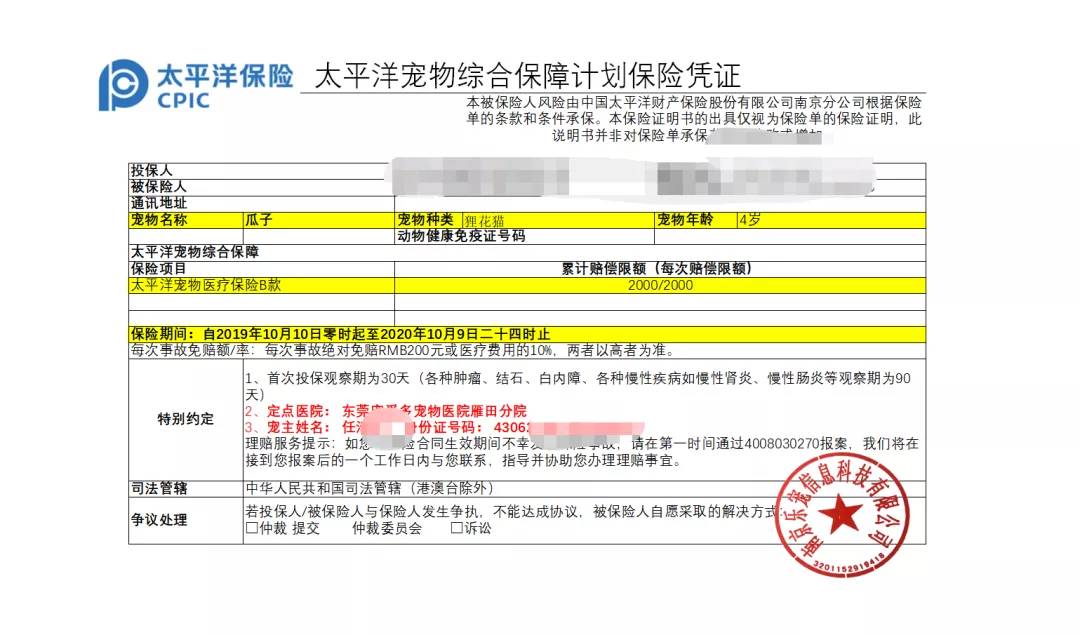 肠胃异物丨宠爱多宠物医院案例分析太宠爱宠物医保