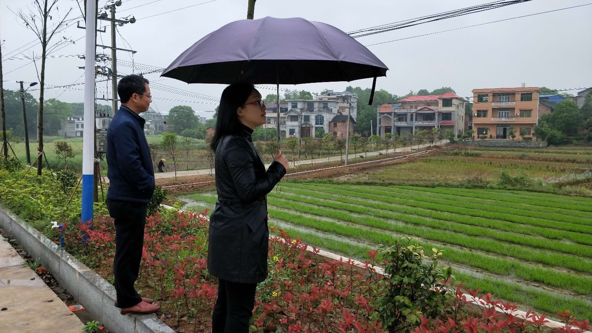 常宁市刘湛艳简介图片