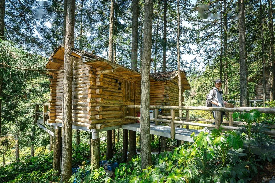 此外,还有5栋建在风景里的小木屋,错落的分布在山间中,给浪漫的旅程