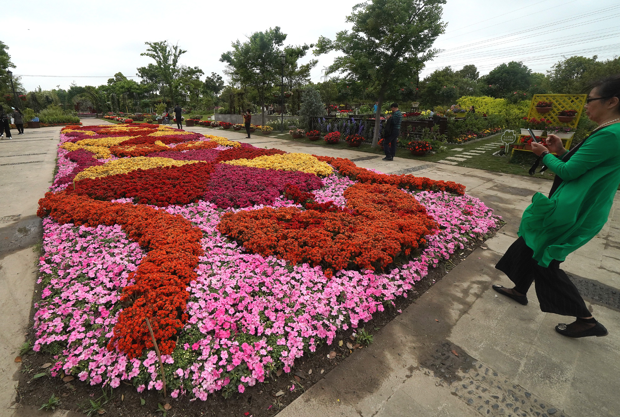 月浦花卉基地图片