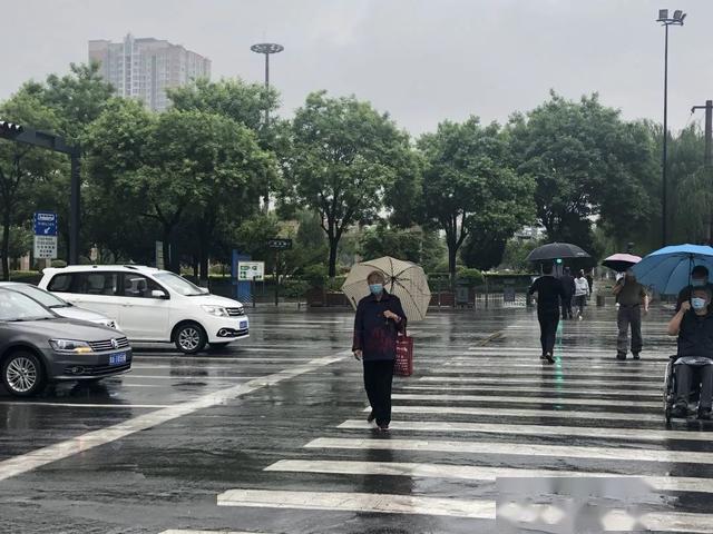 车让人创建文明交通人守规扮靓文明城市