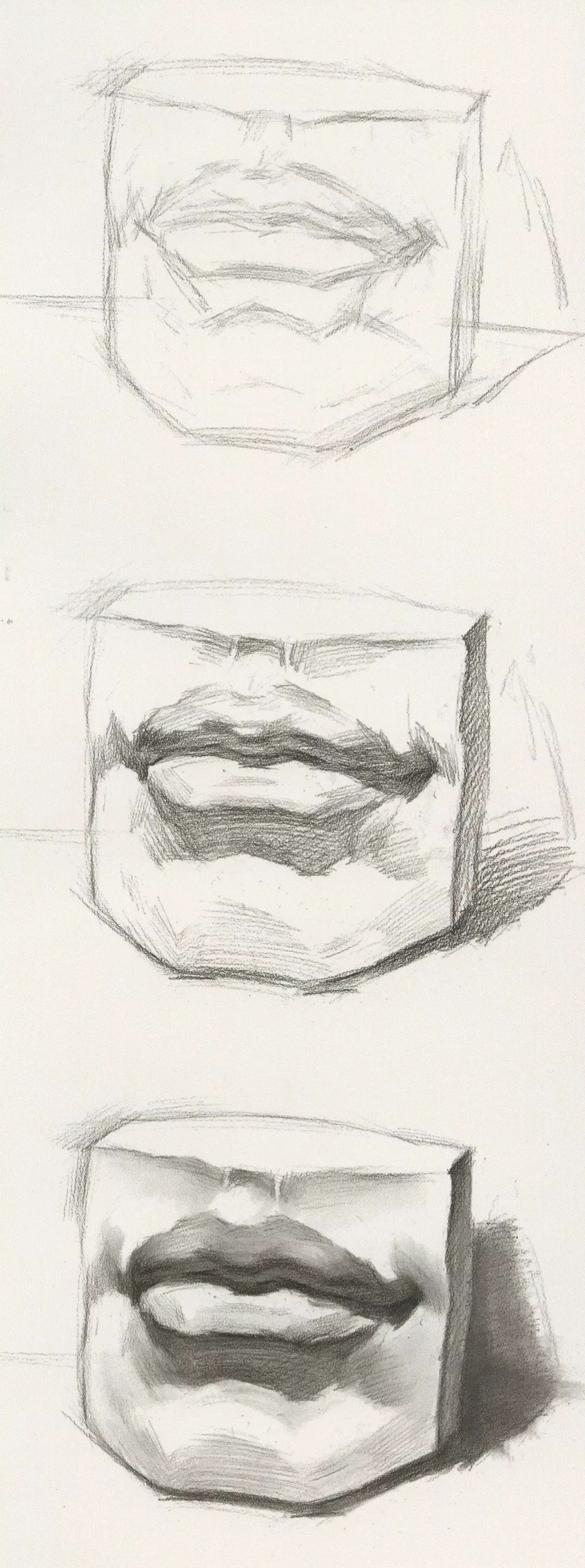 素描头像教学--耳朵的塑造常有同学说:耳朵最好画了,随便搞搞就行了.