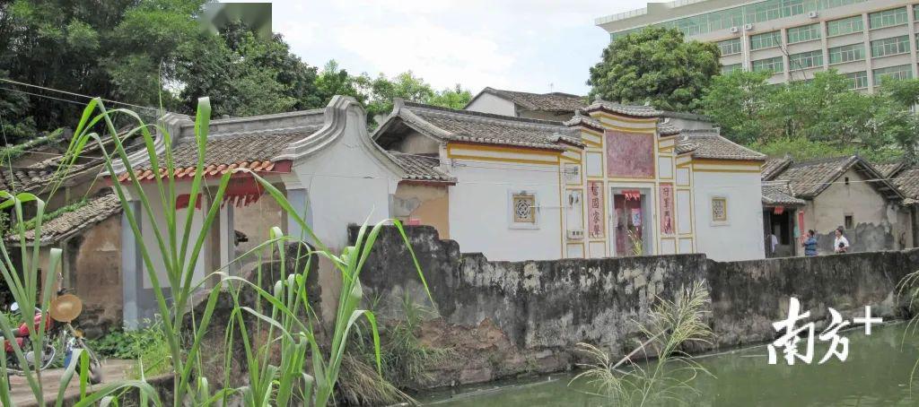 【客家】虎门大桥总设计师是客家人,世界顶级桥梁专家._李国豪