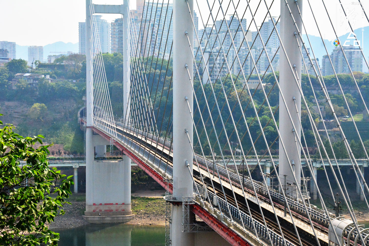 重庆主城最"低调"的轨道桥:高家花园大桥,连接沙坪坝与江北_玉带