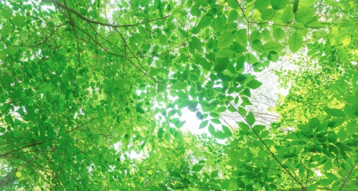 洗地才是真干净？健康大潮下中国家庭新清洁观，开启消费新主张-家电圈官网