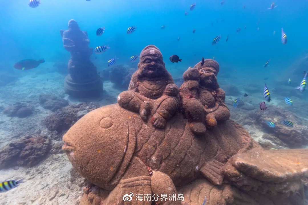 分界洲岛海底潜点大揭秘!