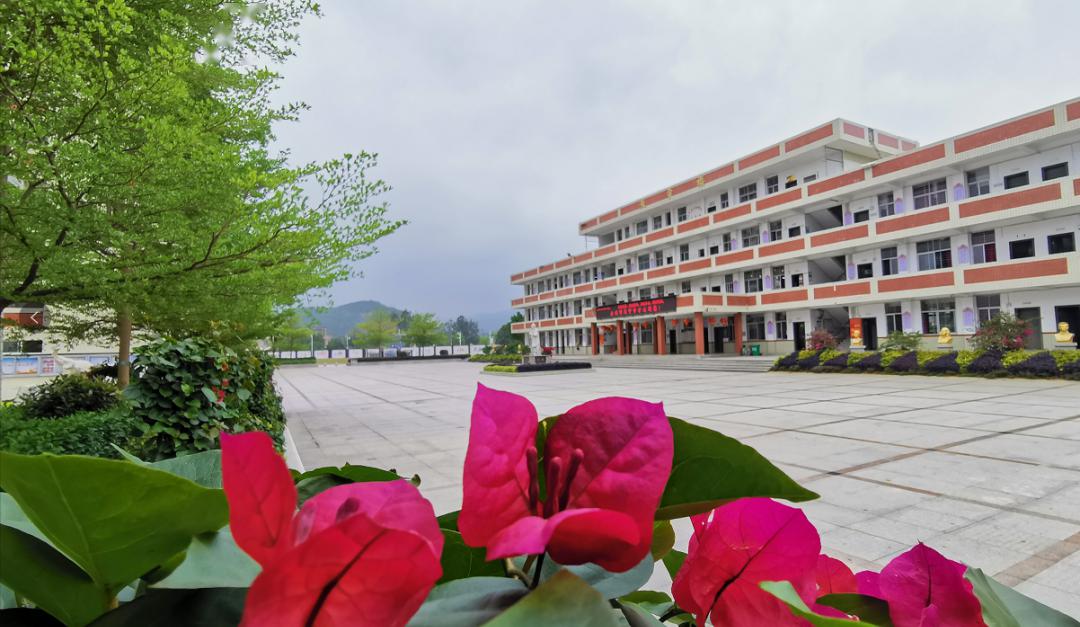 泉州市马甲中学全面复学返校告家长学生须知