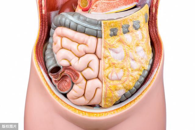 4个方法抹平"小肚腩",降低内脏脂肪,恢复平坦小腹