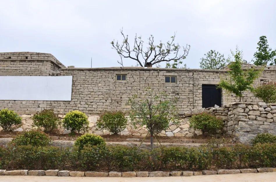 青山成"幸福不动产"顾庄村新型经营主体培育及土地流转现场盘活土地