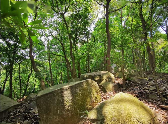 5月10号(周日) 市内徒步路线——华峰寺至天坑穿越