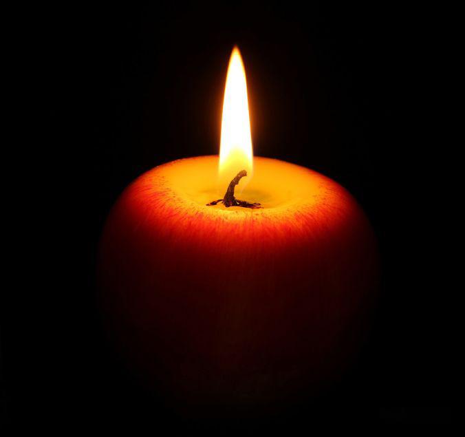 海棠灯花田贺君的叙事散文四