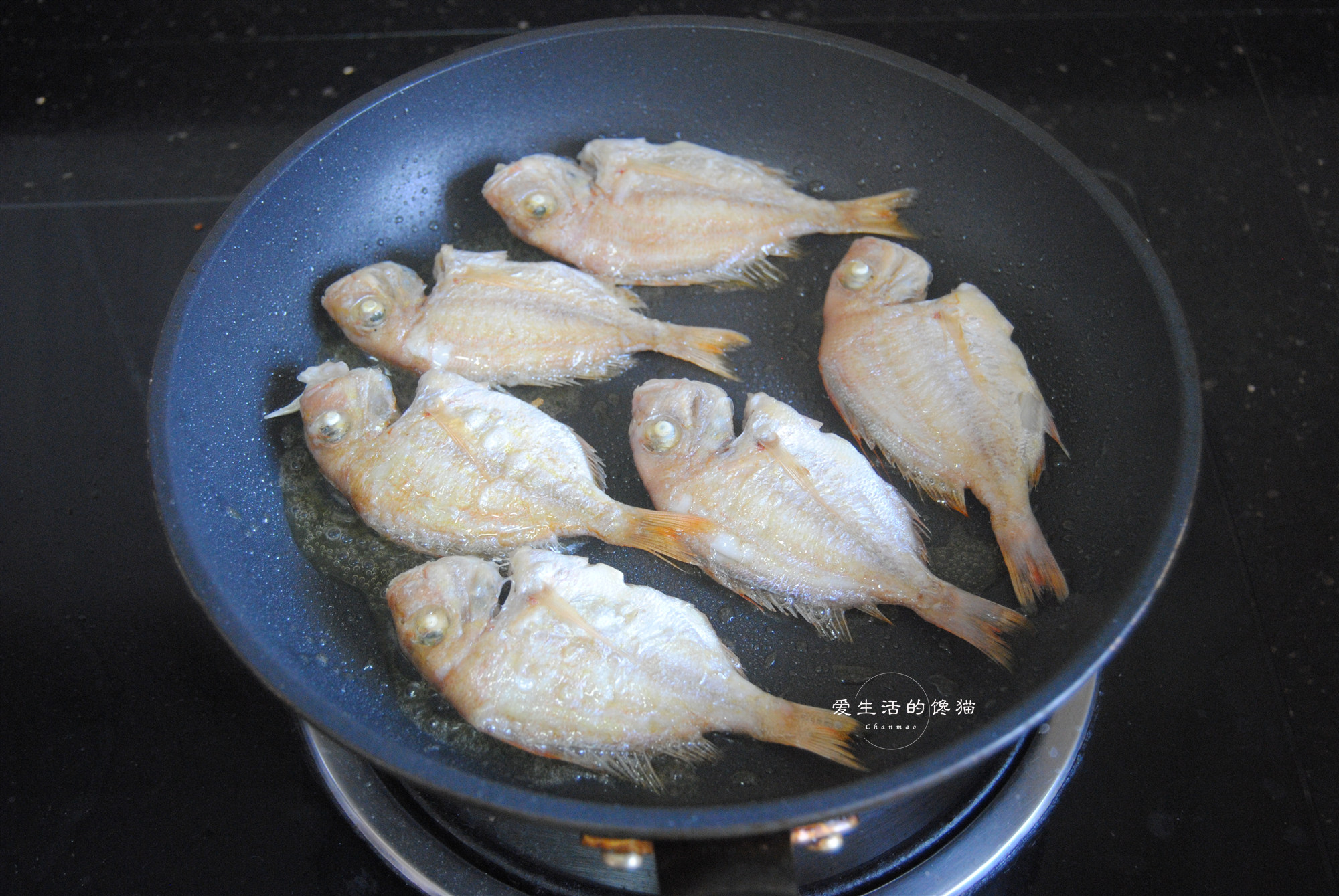 外地人嫌便宜不吃这鱼,本地人每天买到偷着乐,5元一斤,吃过瘾