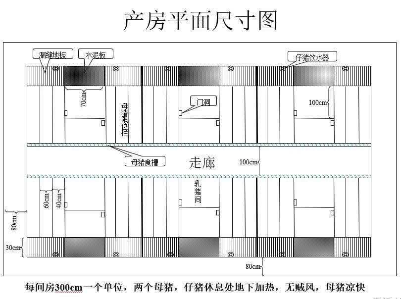 管理200头能繁母猪养猪场的总体设计规划方案