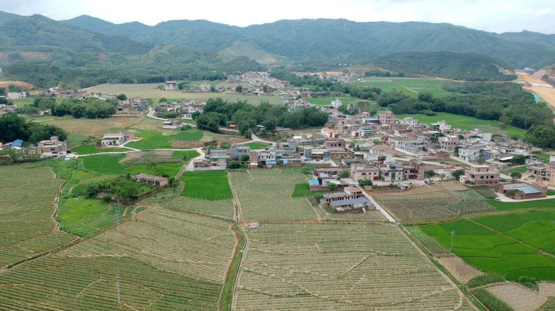 翁源县周陂镇陈村脱贫攻坚助力村民开启美好新生活