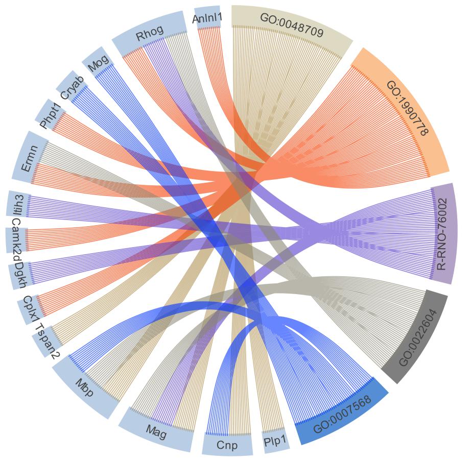 如何优雅的使用excel作出高大上的图片