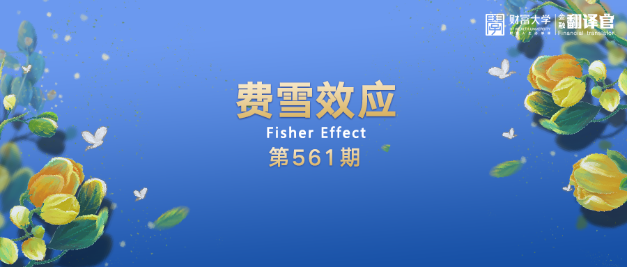 金融翻译官费雪效应