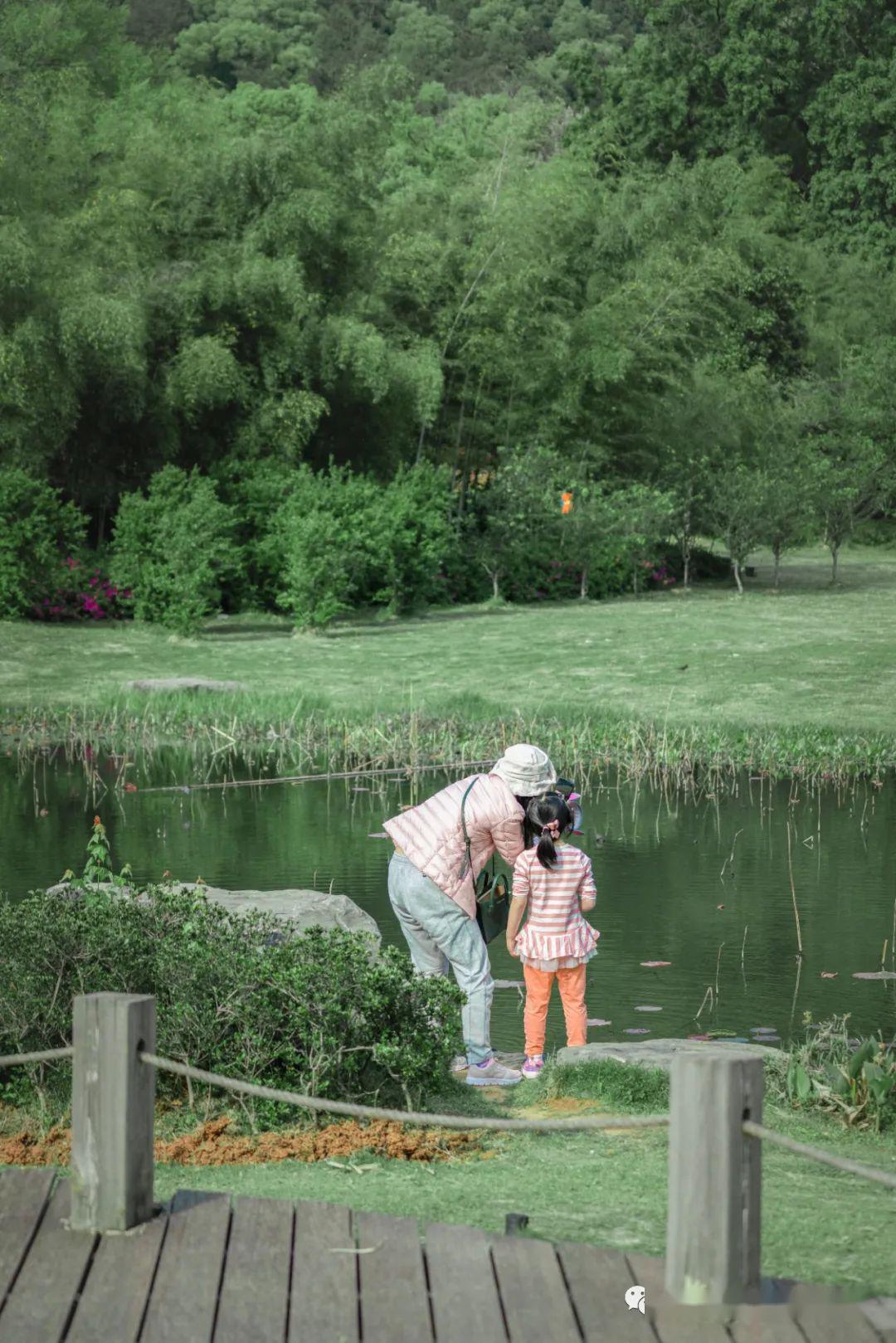 福利妈妈别忙啦周末我们出去玩
