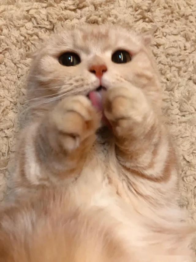 4.成名必杀技——风情万种吐舌头!