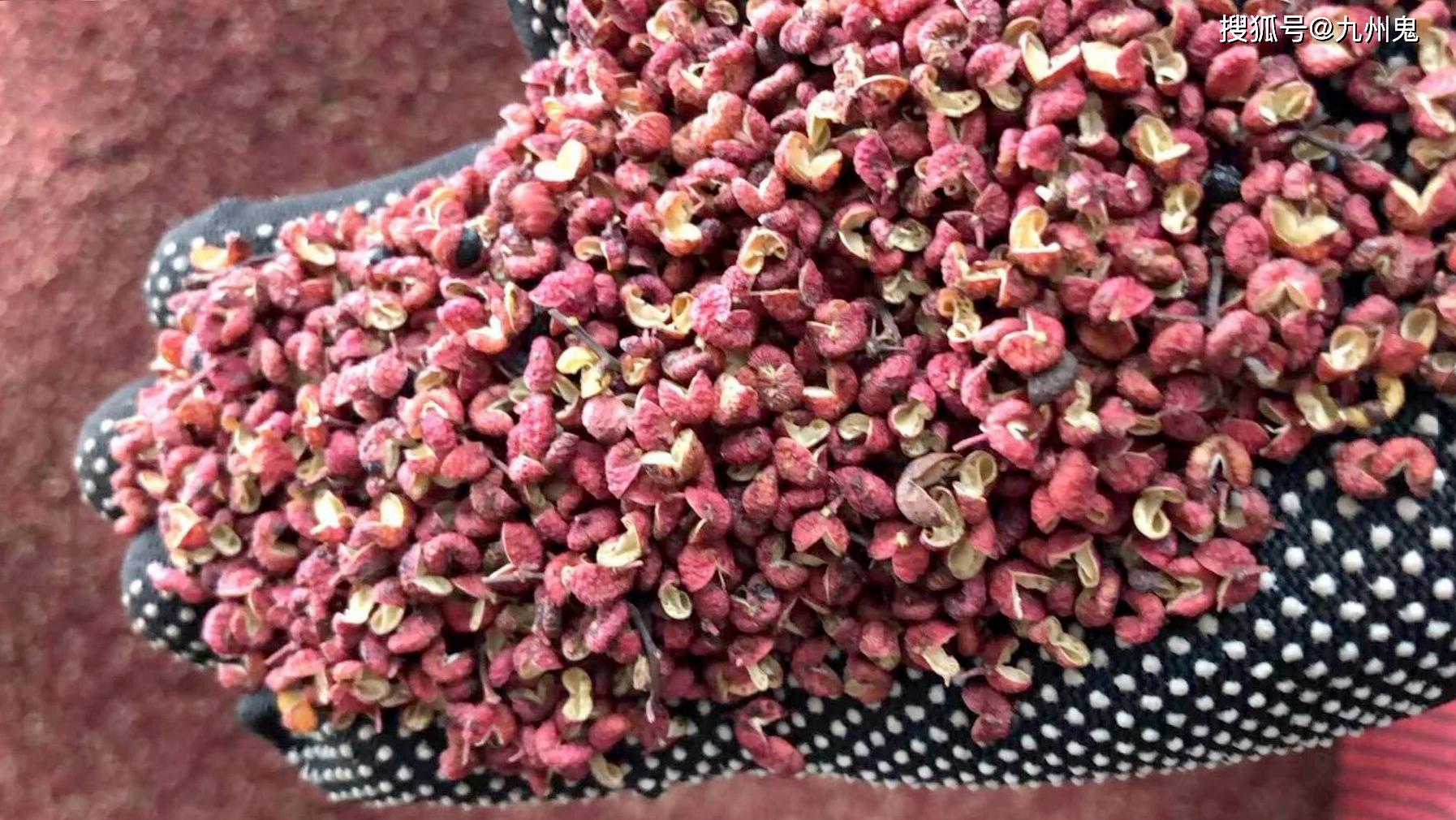 千万别再浪费它了,用对了这三种病不攻自破!