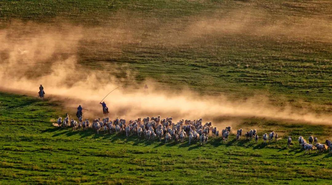 美女萨其拉唱的一首歌,送给远方的爱人!