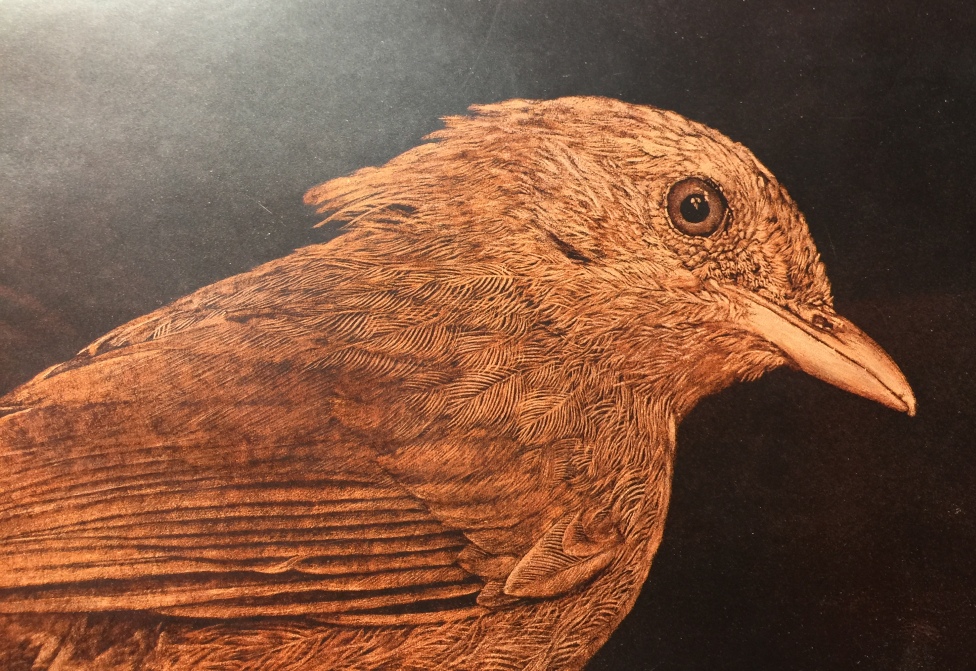 真皮刀画艺术家胡国玉用刀刻画出对生命的敬畏