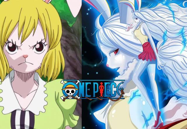 最后就是目前最大的黑马了,"超级赛亚兔"加洛特,加洛特是最符合路飞