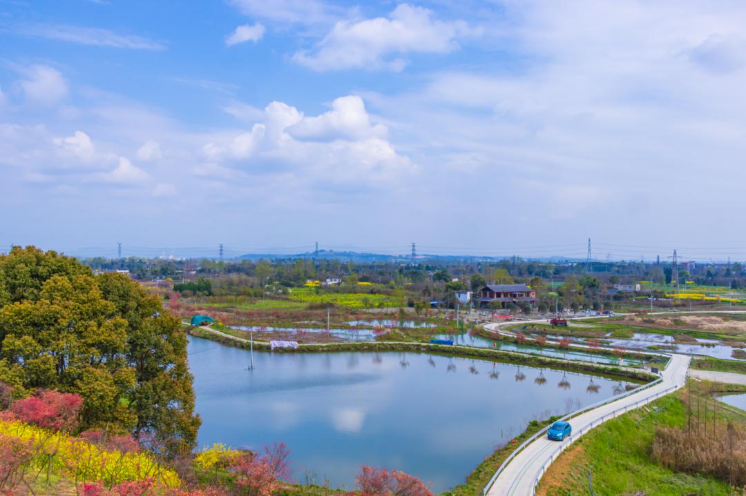 唐昌國家農業大公園△創智公園△清水河公園郫都聚焦各類人群丟元