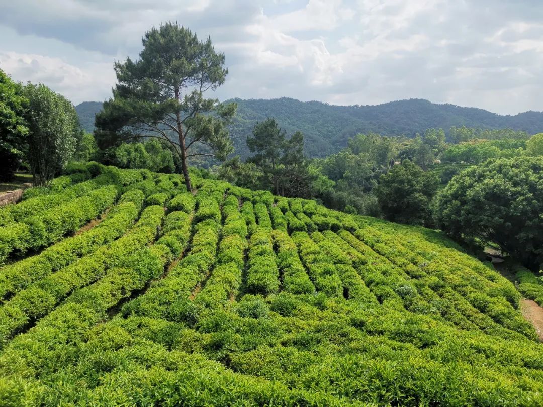 五一梅州自驾游下篇粤东小丹霞胜过丹霞