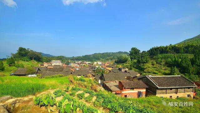 个村分别为:甘棠镇大车村,康厝乡东山村,松罗乡南溪村,坂中乡仙源里村