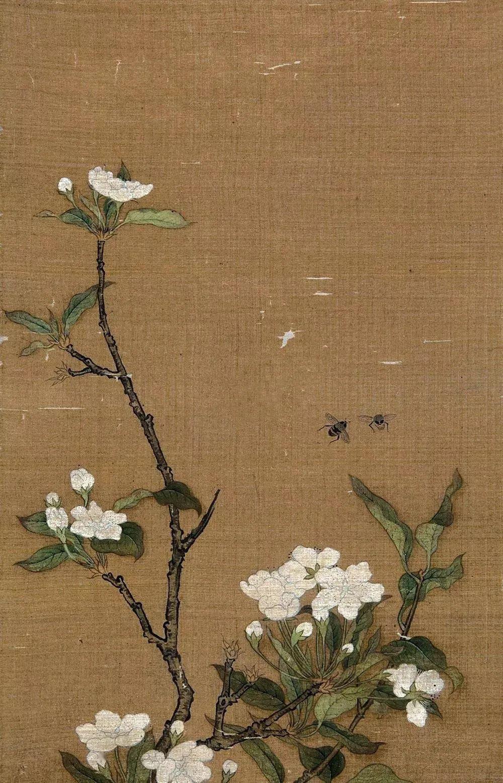 书画家影像网|古今名家画梨花,优雅芬芳!_小鸟