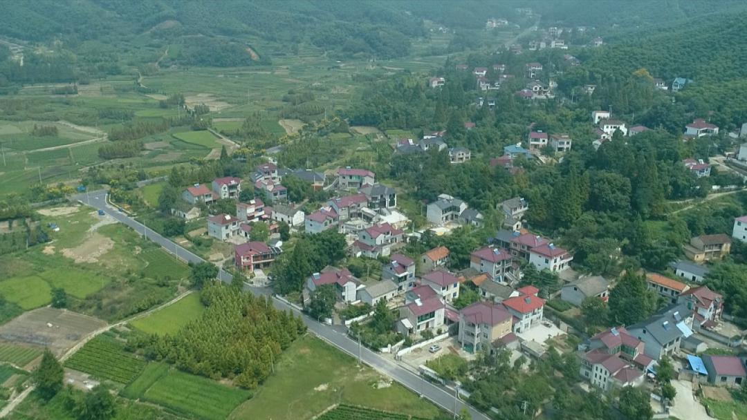 乡村振兴浙江行今晚9点45分走进安吉报福镇统里村竹海之中的栖居胜地